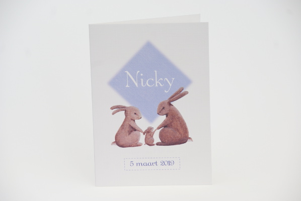 geboortekaartje nicky lila